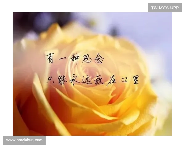 如何在岁月流转中守护友谊的真挚与欢乐的永恒之光 如何在岁月流转中守护友谊的真挚与欢乐的永恒之光