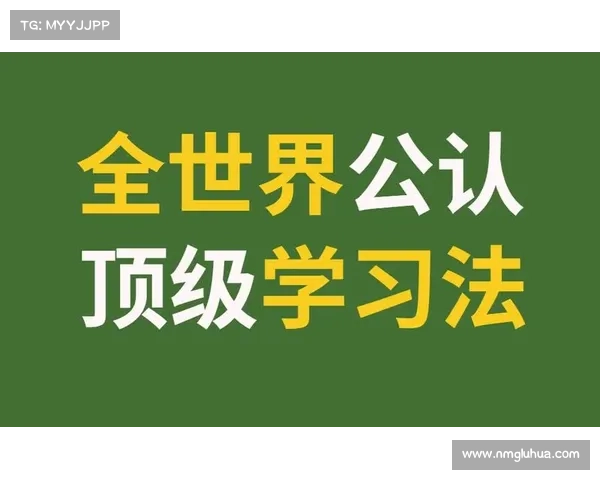 轻松掌握网络世界导航技巧打造高效上网体验完整指南 轻松掌握网络世界导航技巧打造高效上网体验完整指南