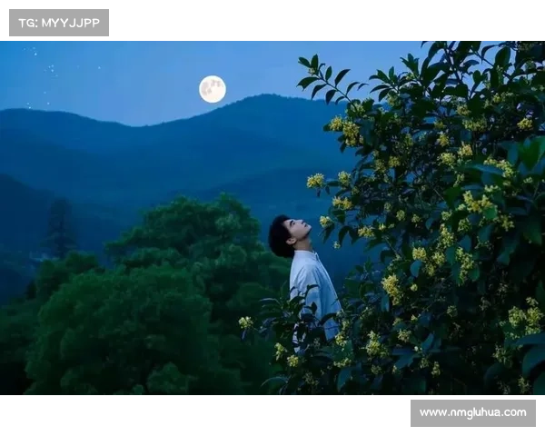 月光下灵魂的低语与旅程在夜后咏叹调中缓缓展开 月光下灵魂的低语与旅程在夜后咏叹调中缓缓展开