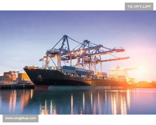 如何为詹姆斯的新篮球联赛筹资计划提供有效支持和投资策略